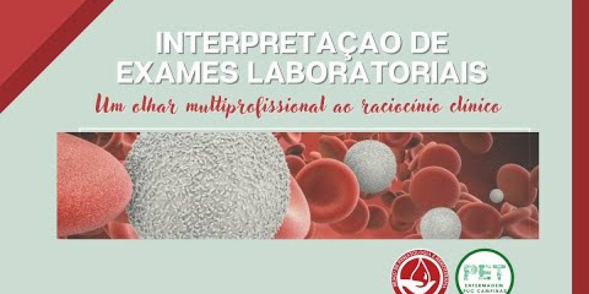 Sintomas de Cardiopatia em Cães: O Que Todo Tutor Precisa Saber para Proteger Seu Amigo Peludo